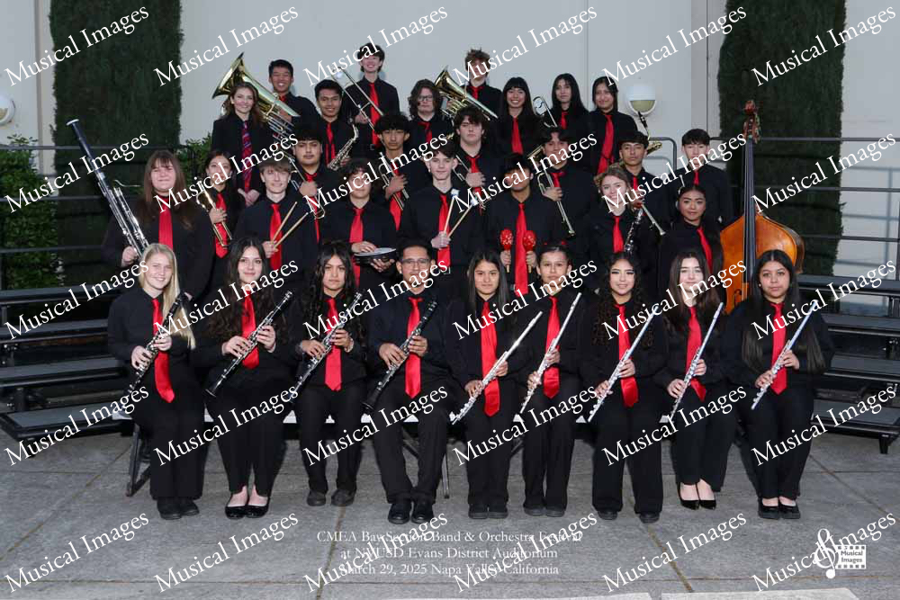 Musical Images
